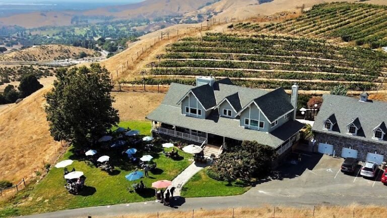 41219 a95ee6b2cf19 768x432