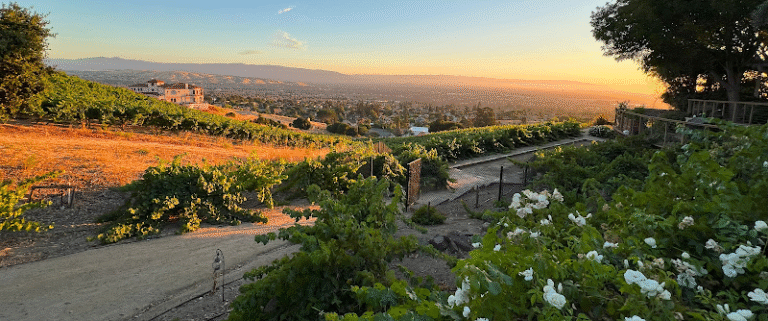 41221 331990c638fe 768x321