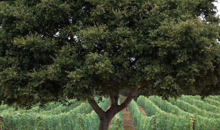 41237 4c7327a28dff 768x454