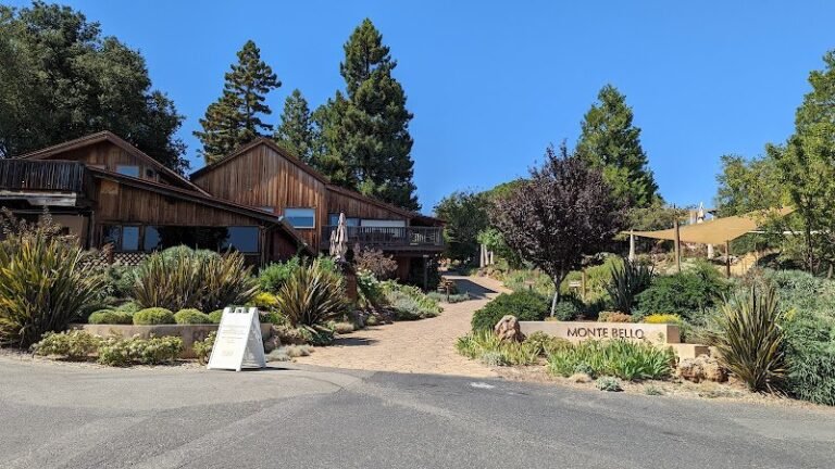 41239 d709fab23540 768x432