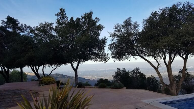 41298 0febccf5fe23 768x432