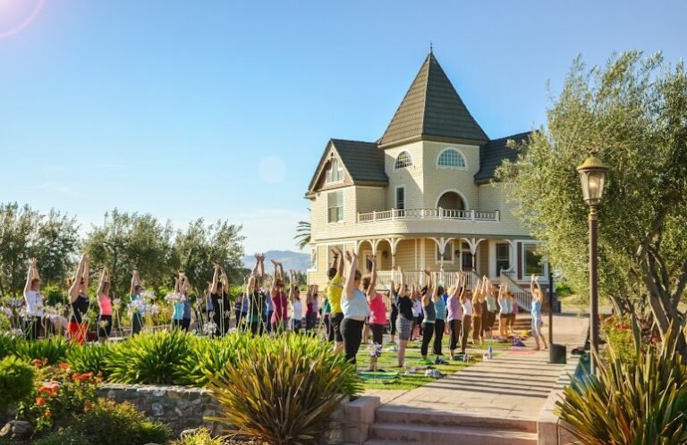 41306 733a919a8208 768x498