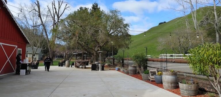 41328 9431e7eeb031 768x338