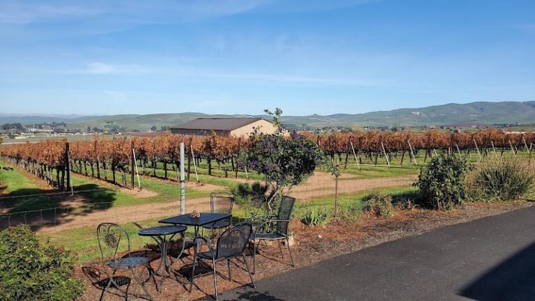 41336 cfb43fe676c9 768x432