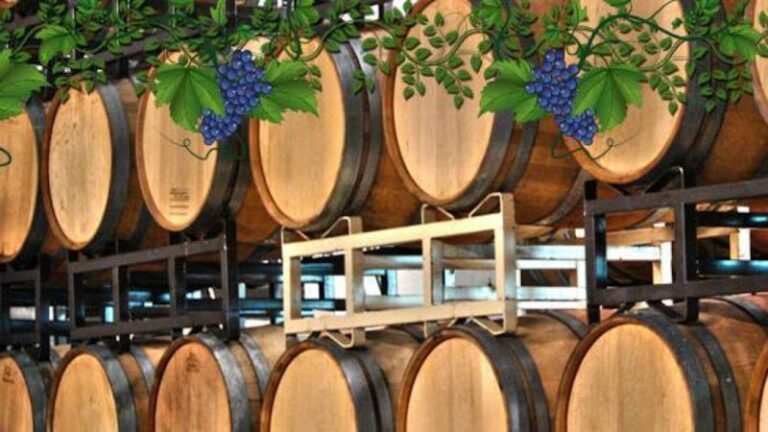 41364 3915dab5f78f 768x432