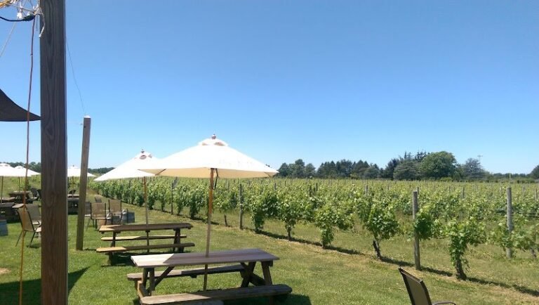 41455 2795fad2a6d3 768x434