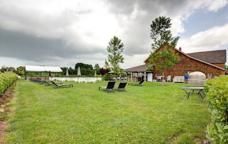 41483 d91d5e1f8241 768x484