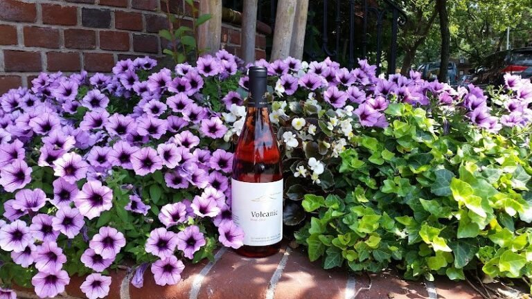 41531 1208d18cdd5a 768x432