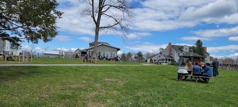 41595 1af2d0e14218 768x346