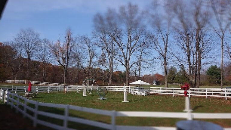 41623 e740db01a6b0 768x432