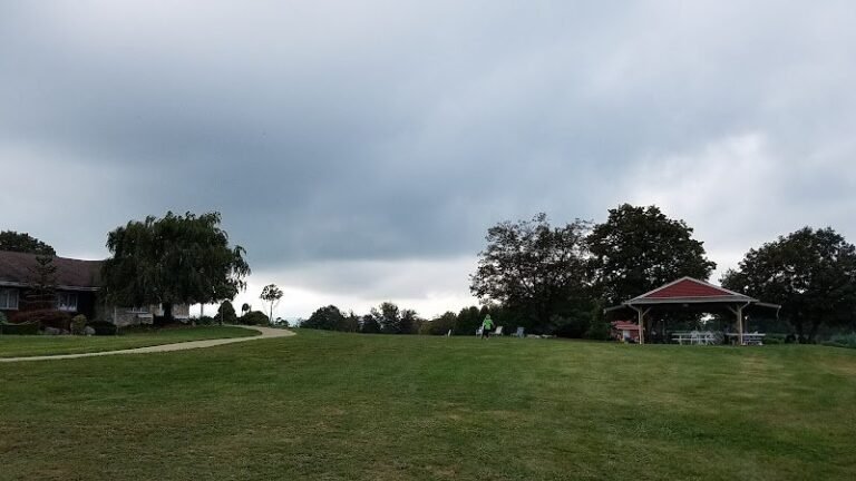 41667 fb50e9459687 768x432