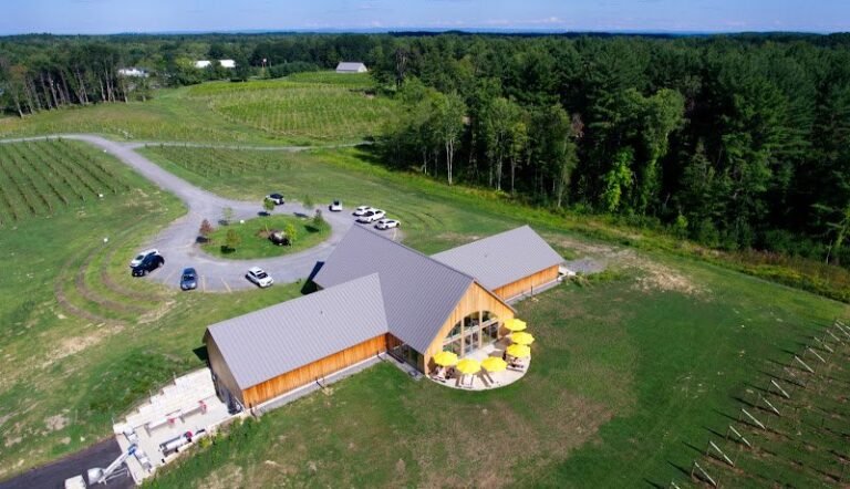 41683 cfc087715e49 768x442