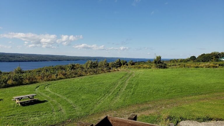 41697 cc218a2526d5 768x432