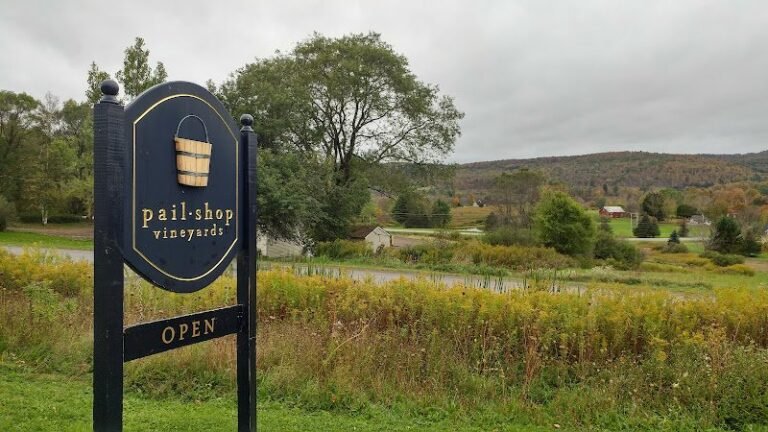 41716 d0e36c73f715 768x432