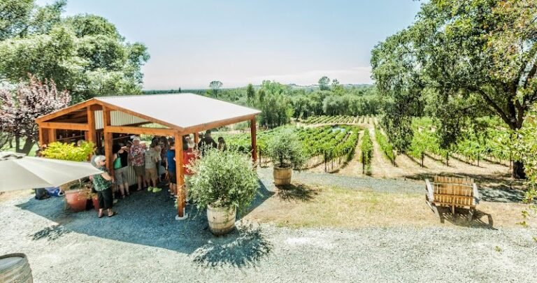 41749 820632ae4925 768x405