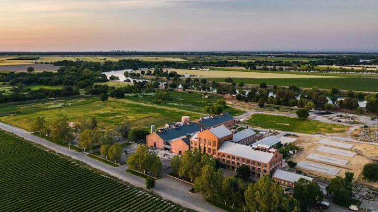 41765 7c61c2d50fb2 768x432