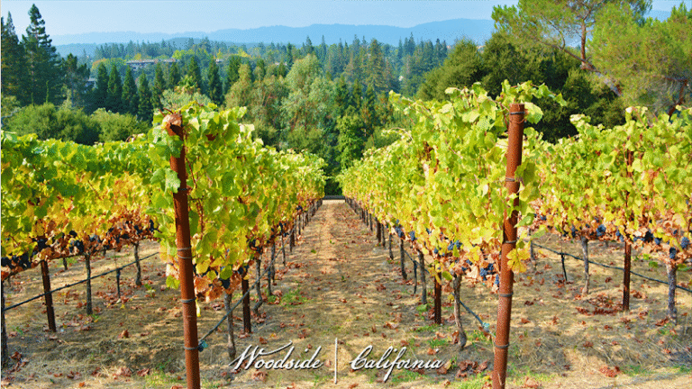 41835 9ac15041ea6b 768x432