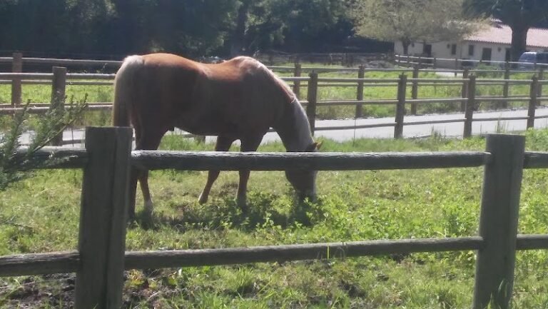 41850 68d3f09cf49c 768x433