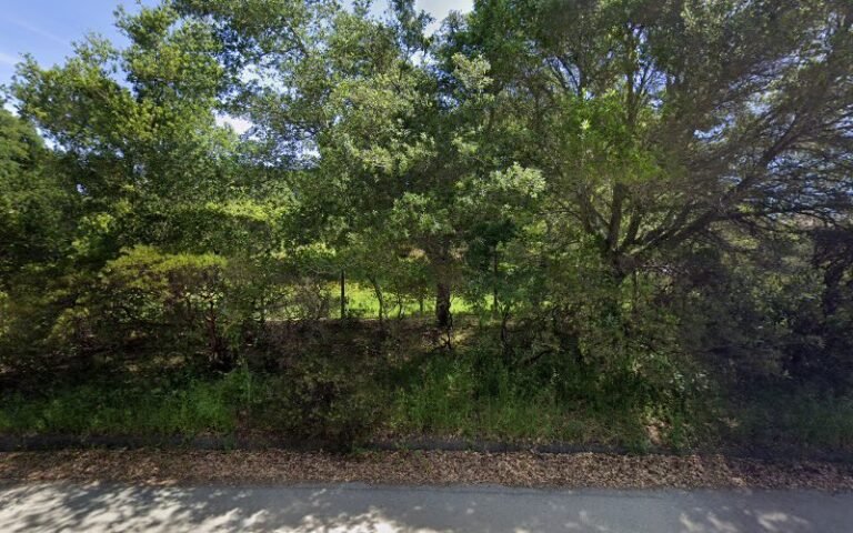 41856 554a91192b2a 768x480