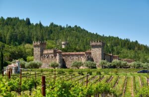 Napa Valley’s Finest Wine Events for August 2025: A Toast to Elegance and Excitement