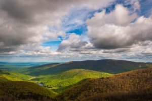 Virginia’s Vino Victory: Sippin’ the Commonwealth’s Finest