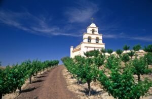 Sip, Savor, and Celebrate: Top 10 Wine Events and Festivals in Paso Robles, California – August to September 2025