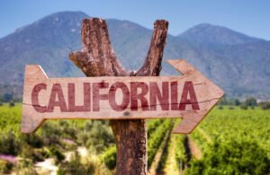Downey’s Sip & Savor Downtown Wine Fest: August 2025’s Hottest Pour